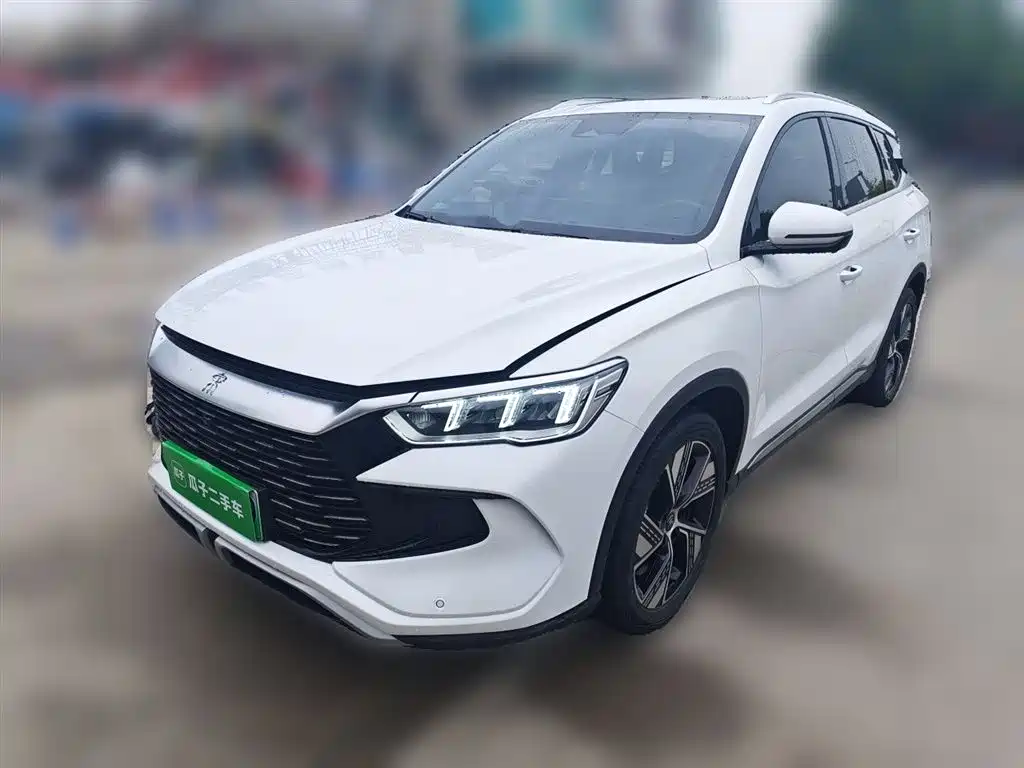 BYD Pro New Energy 2023