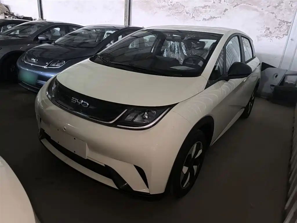 BYD Dolphin 2026