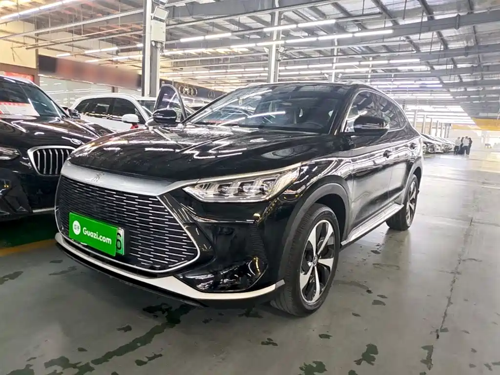 BYD PLUS New Energy 2022