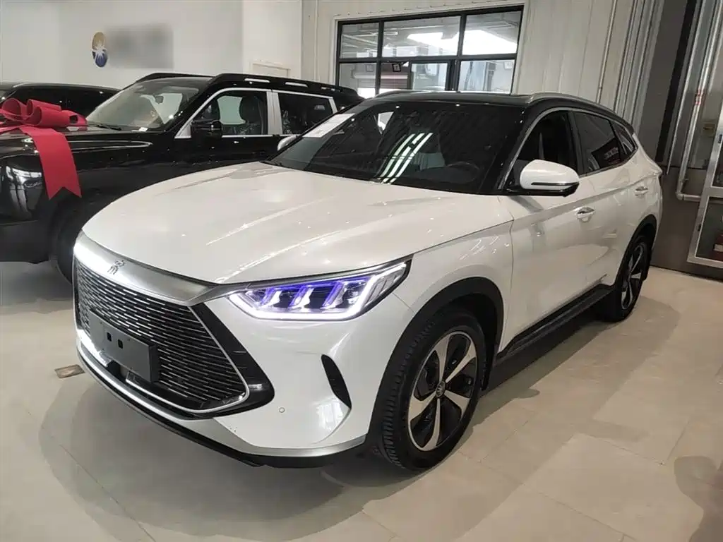 BYD PLUS New Energy 2022