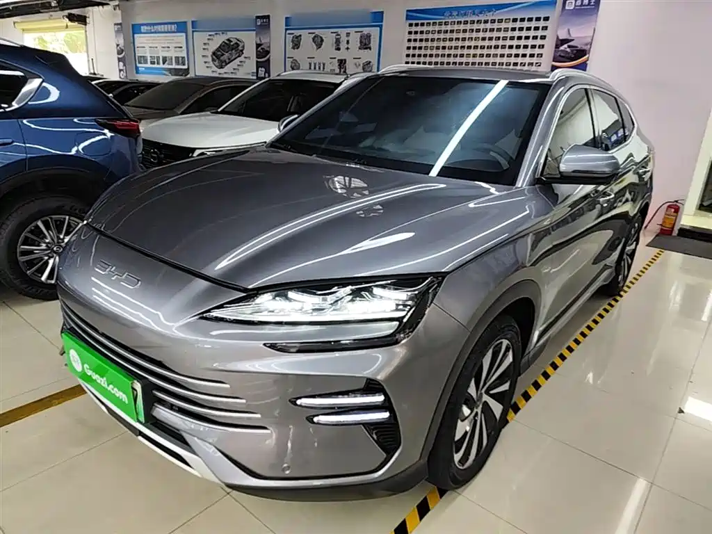 BYD PLUS New Energy 2024