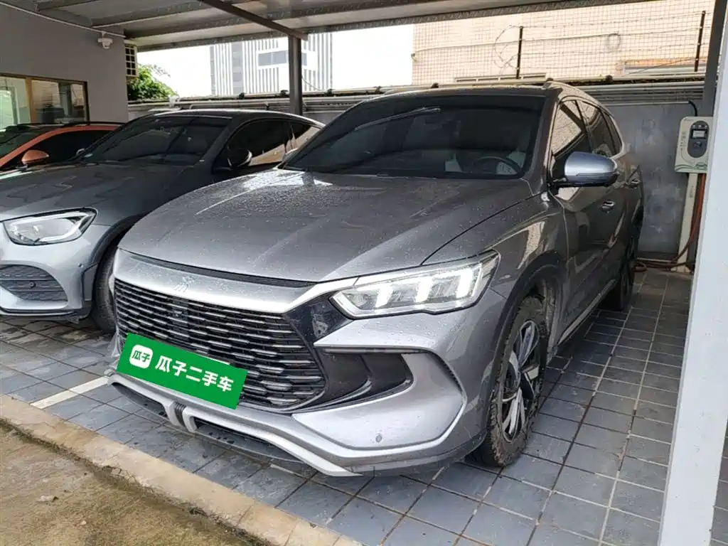BYD Pro New Energy 2025