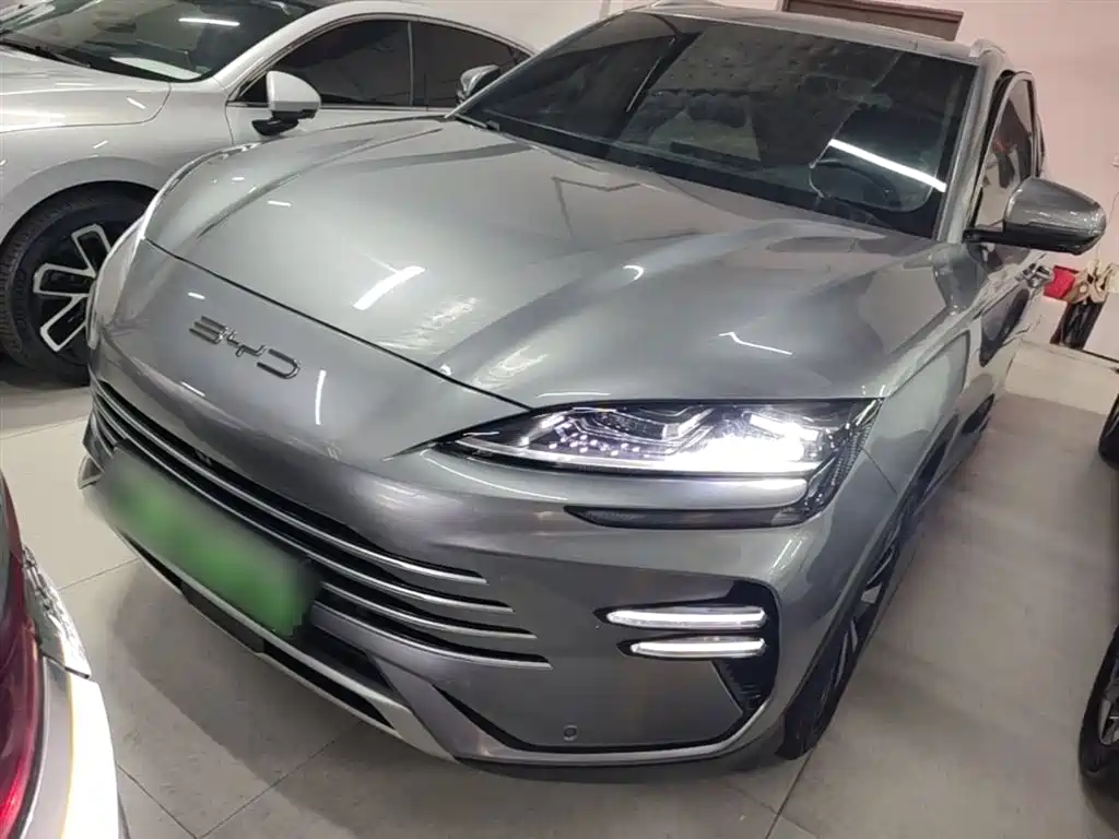 BYD PLUS New Energy 2024