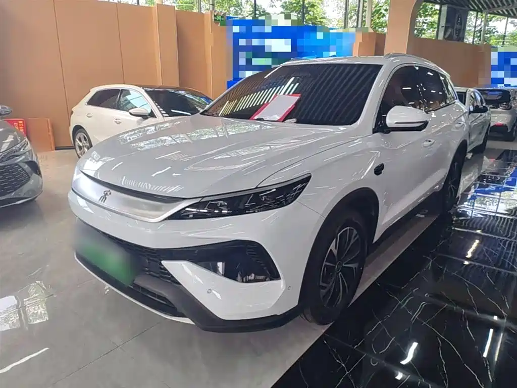 BYD Pro New Energy 2025
