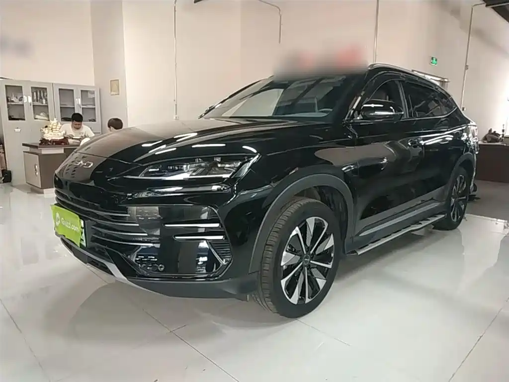 BYD PLUS New Energy 2024