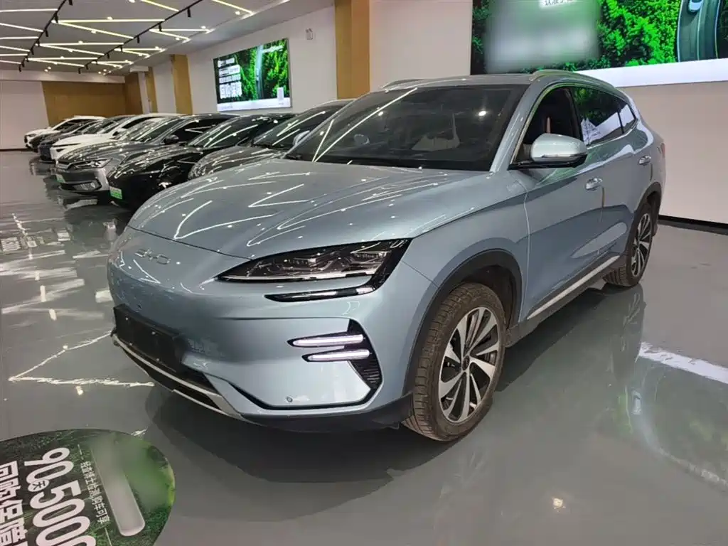 BYD PLUS New Energy 2024