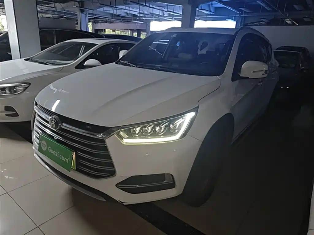 BYD New Energy 2019