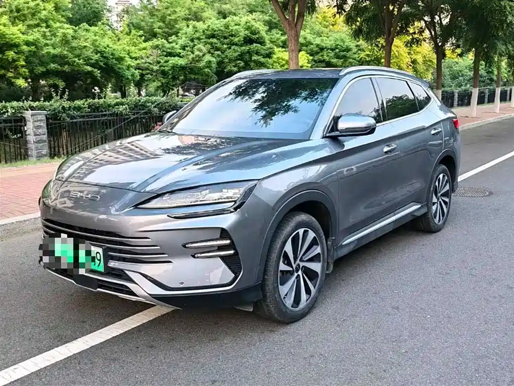 BYD PLUS New Energy 2024