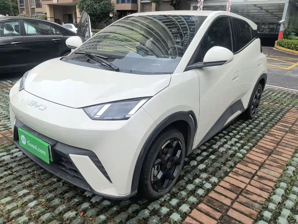 BYD Seagull 2024