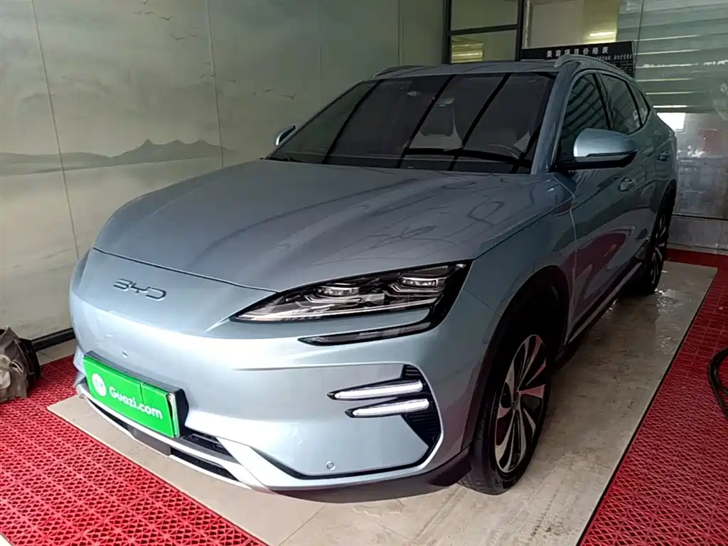 BYD PLUS New Energy 2024