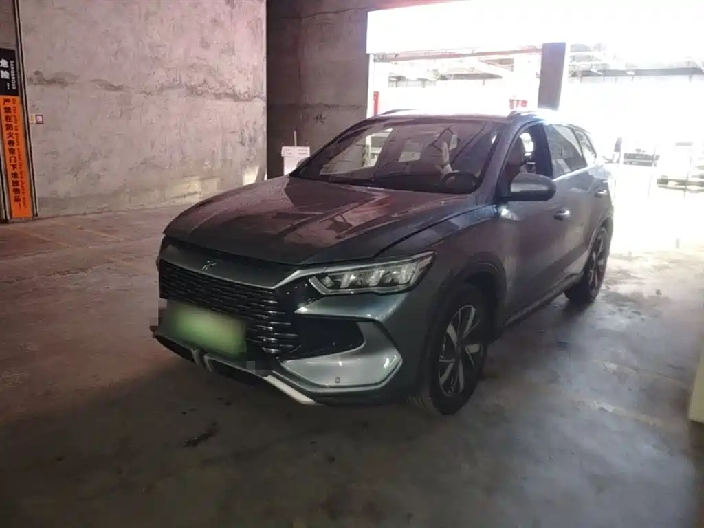 BYD Pro New Energy 2024