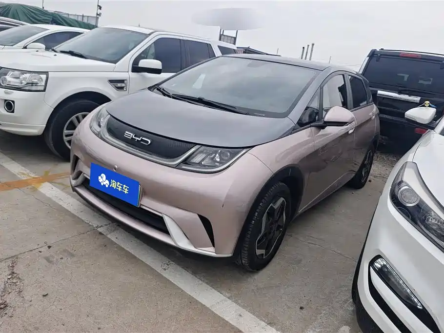 BYD Dolphin 2022