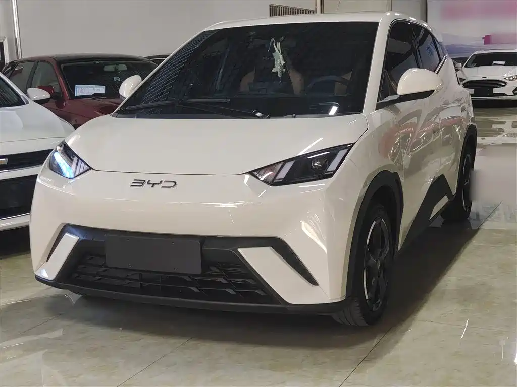 BYD Seagull 2024