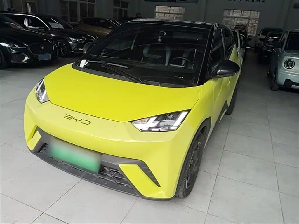 BYD Seagull 2024
