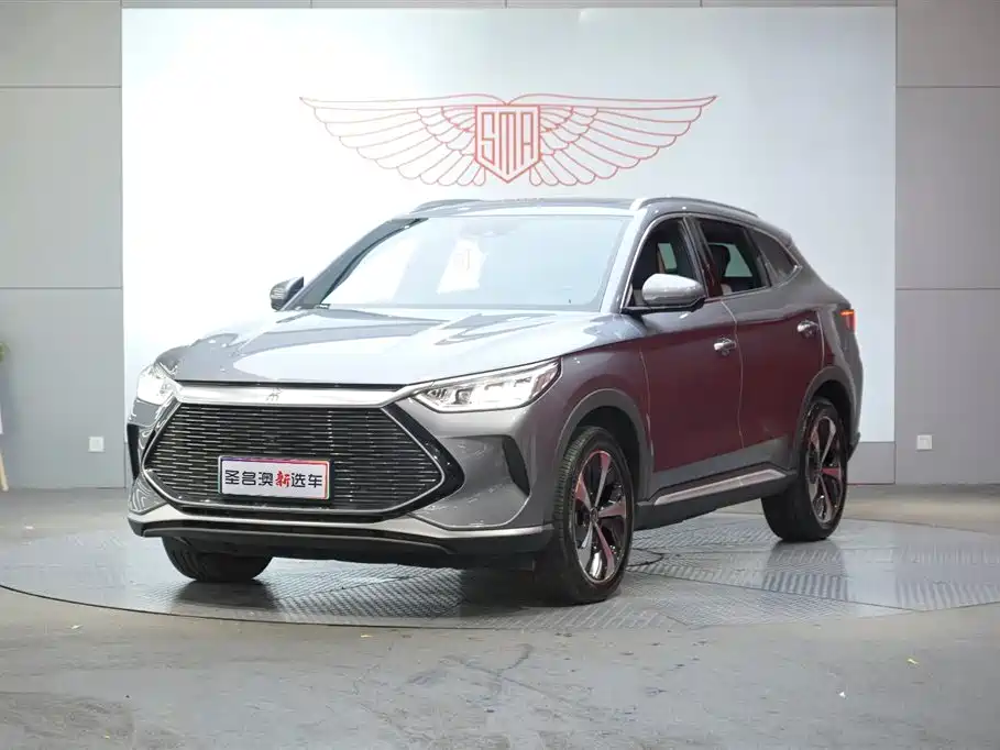 BYD PLUS New Energy 2021