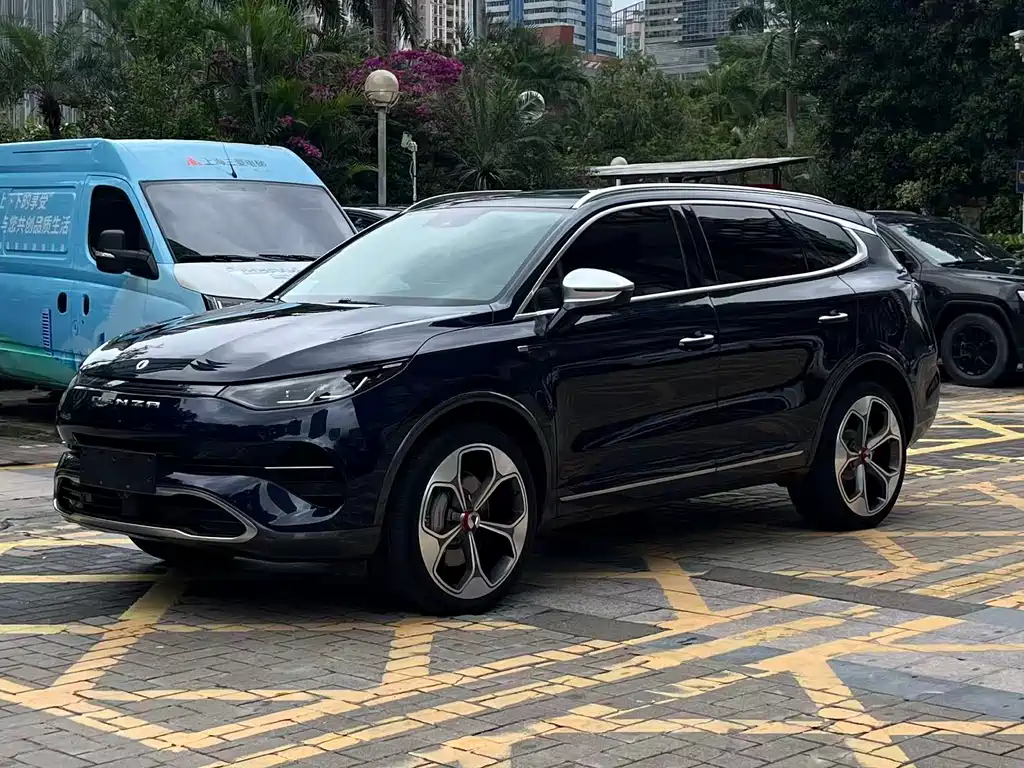 Denza Denza X 2021