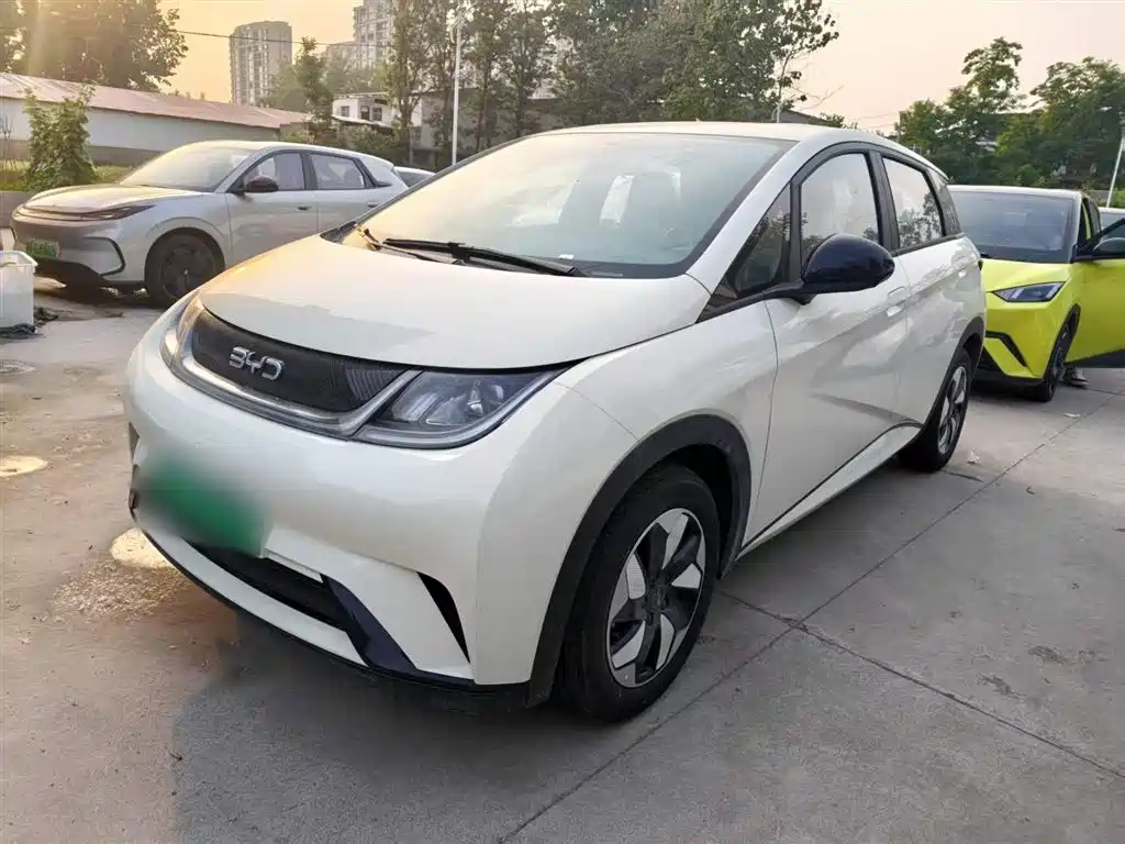 BYD Dolphin 2026