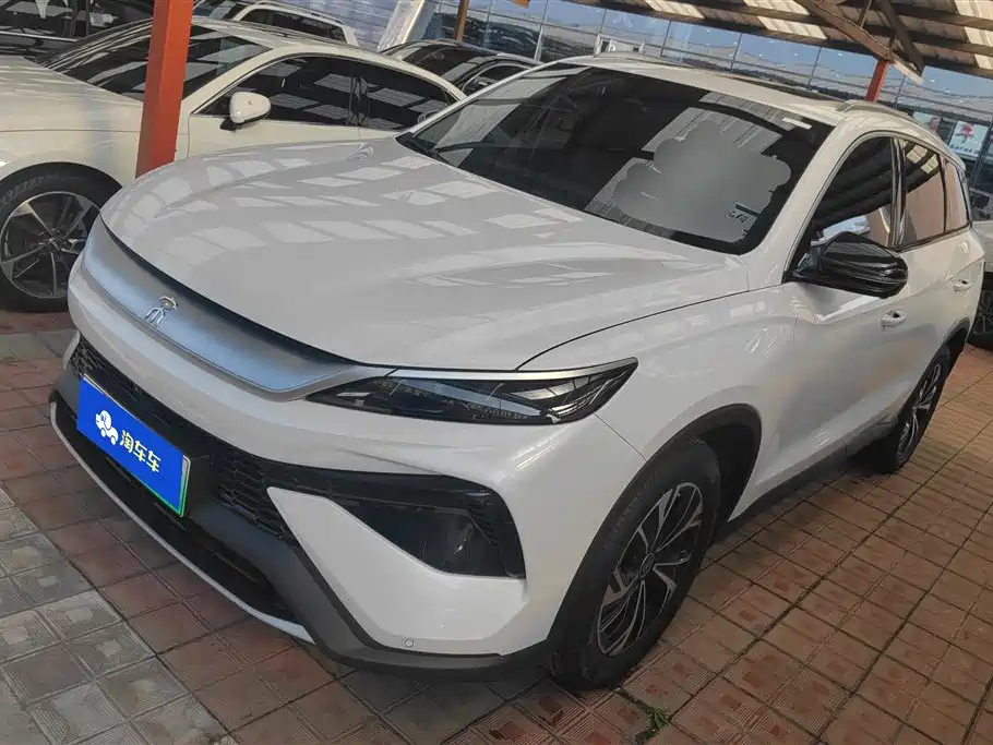 BYD Pro New Energy 2024