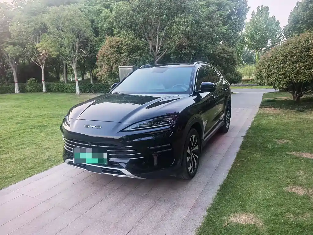 BYD PLUS New Energy 2024