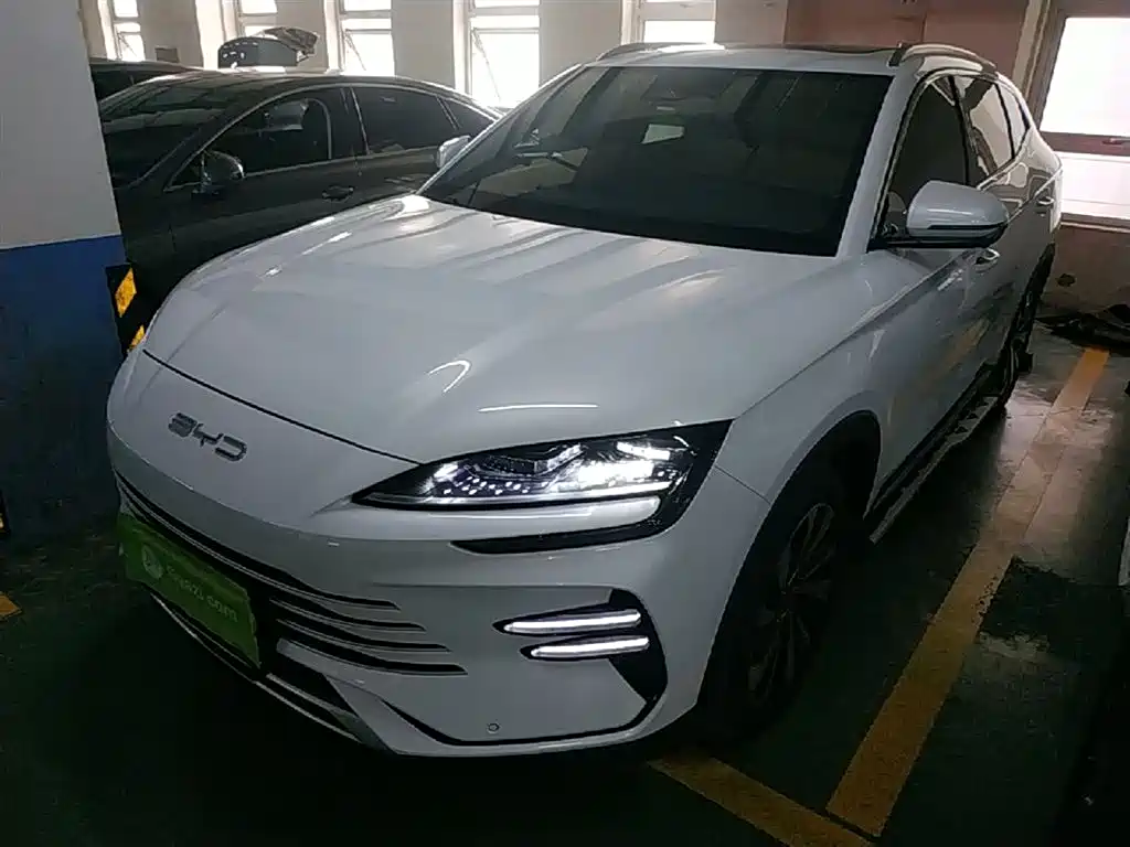 BYD PLUS New Energy 2024