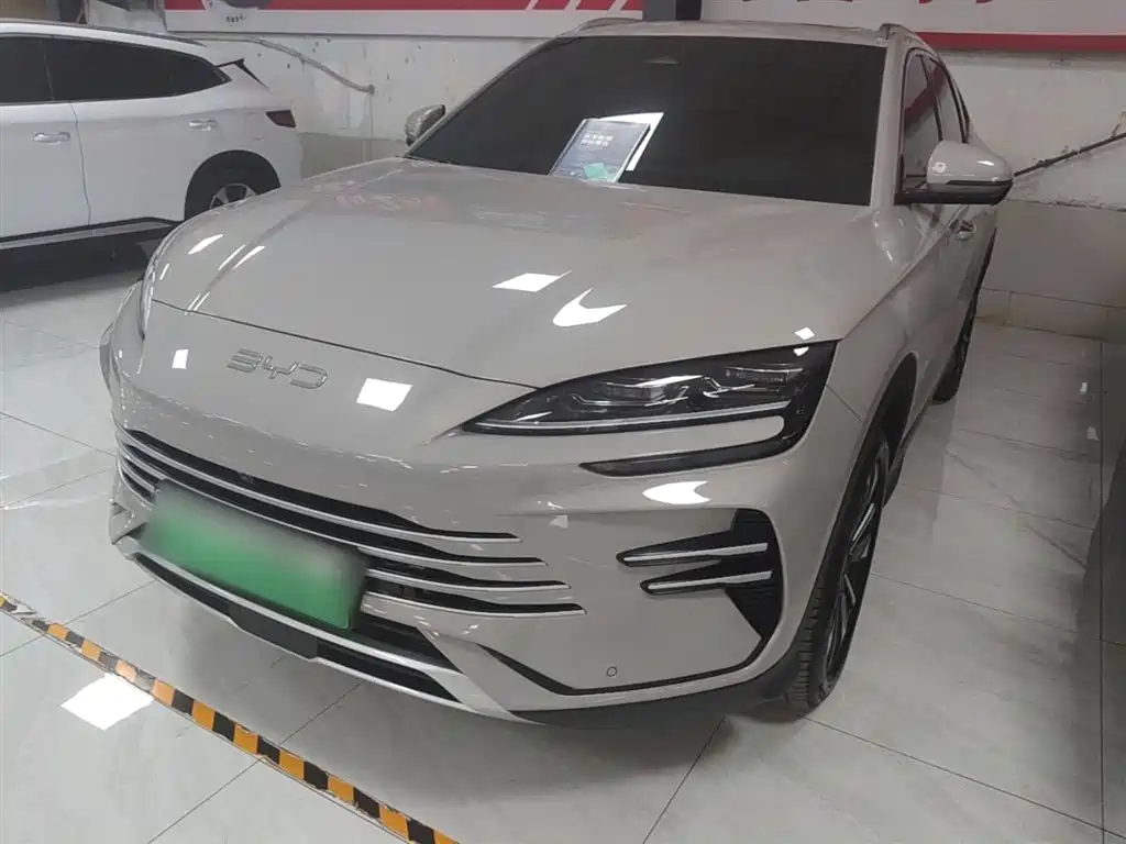 BYD PLUS New Energy 2024