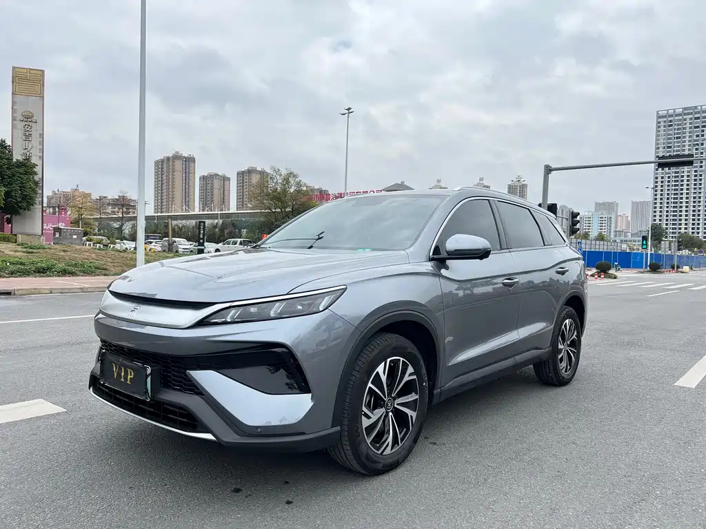 BYD Pro New Energy 2024