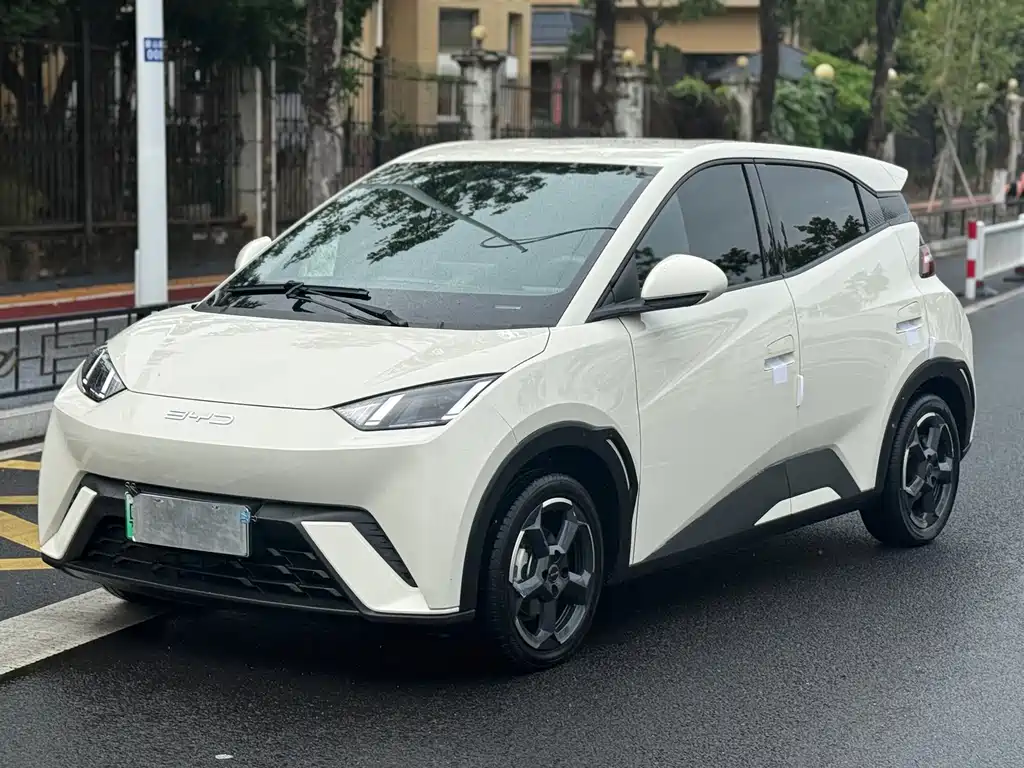 BYD Seagull 2024