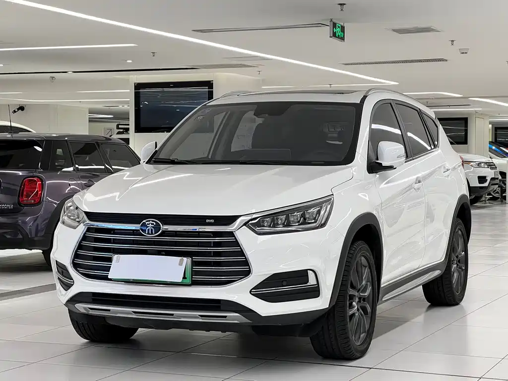 BYD New Energy 2019