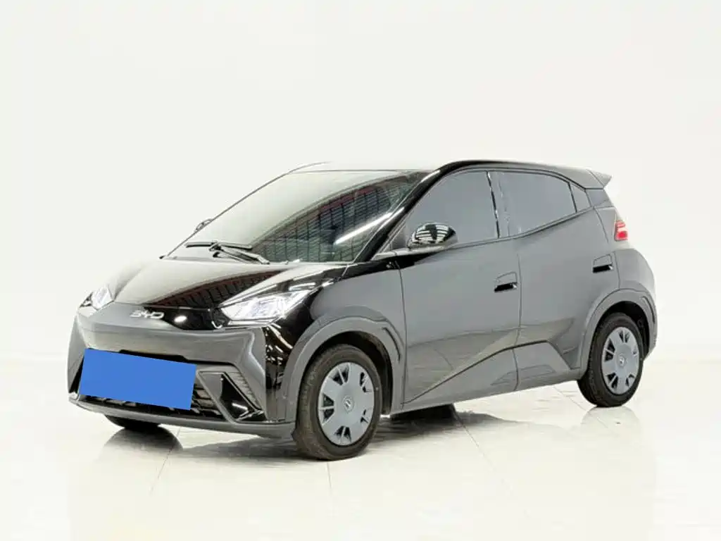 BYD Seagull 2024