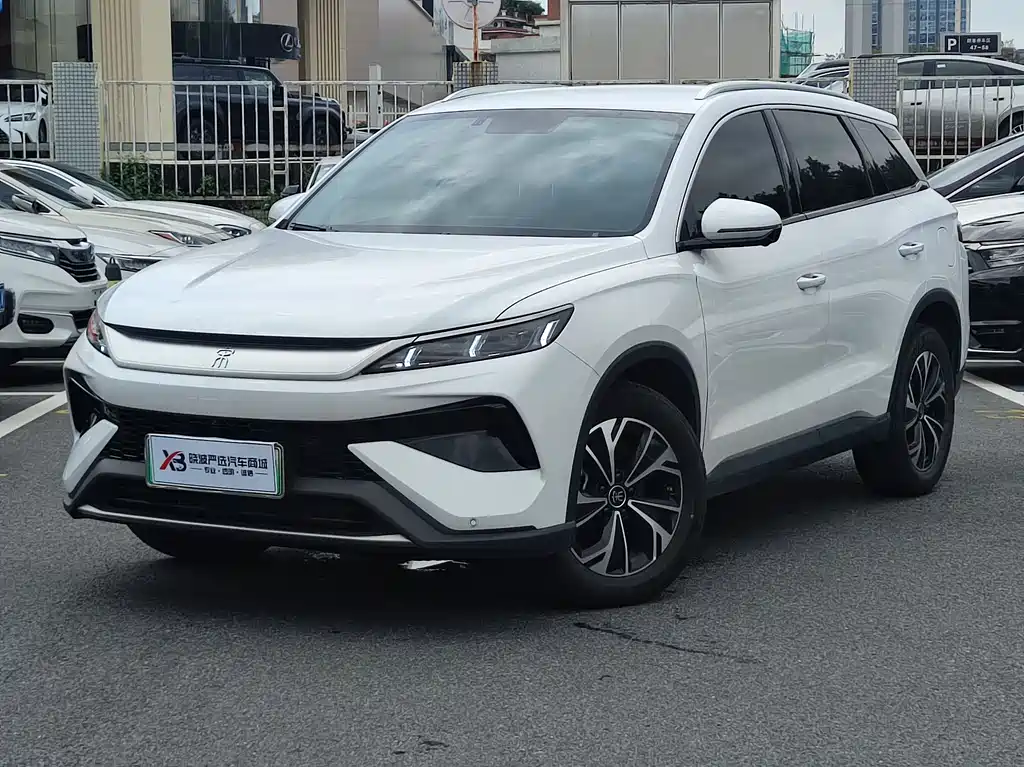 BYD Pro New Energy 2025