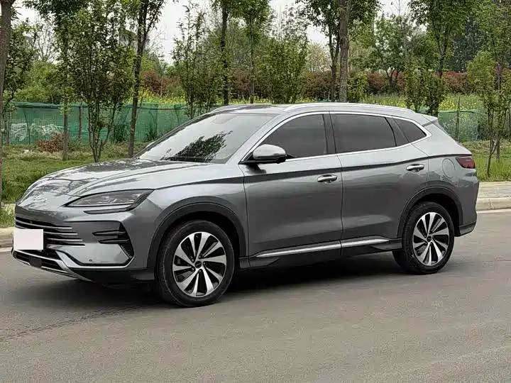BYD PLUS New Energy 2024