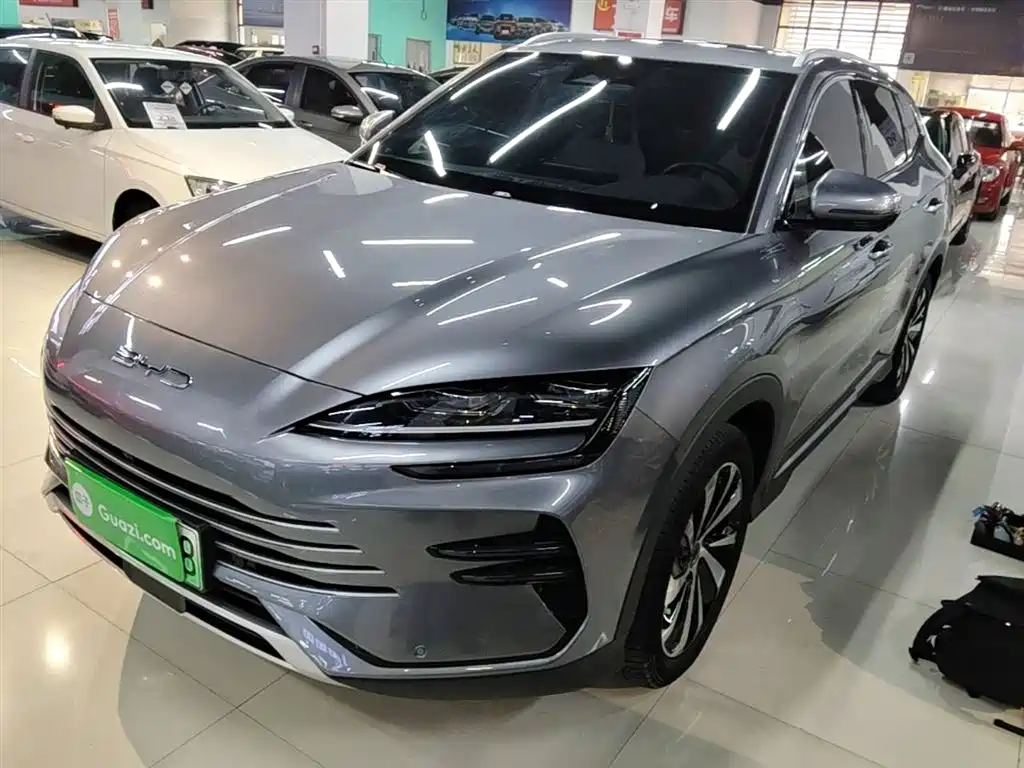 BYD PLUS New Energy 2024