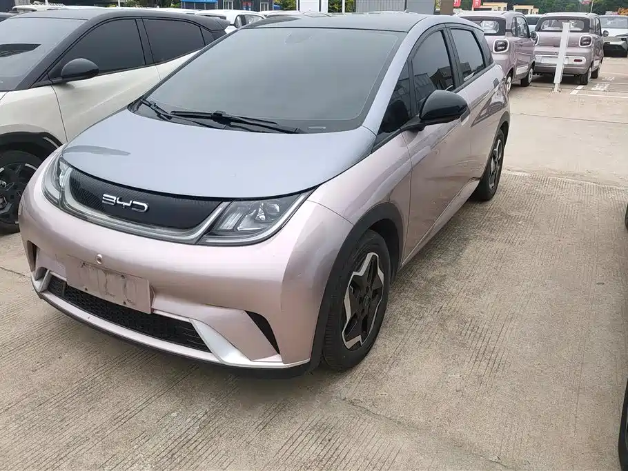 BYD Dolphin 2022