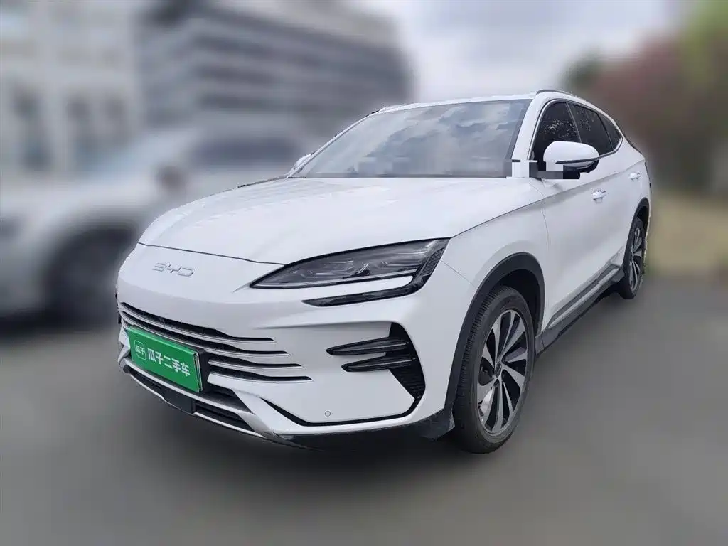 BYD PLUS New Energy 2024