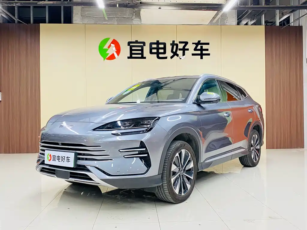 BYD PLUS New Energy 2024