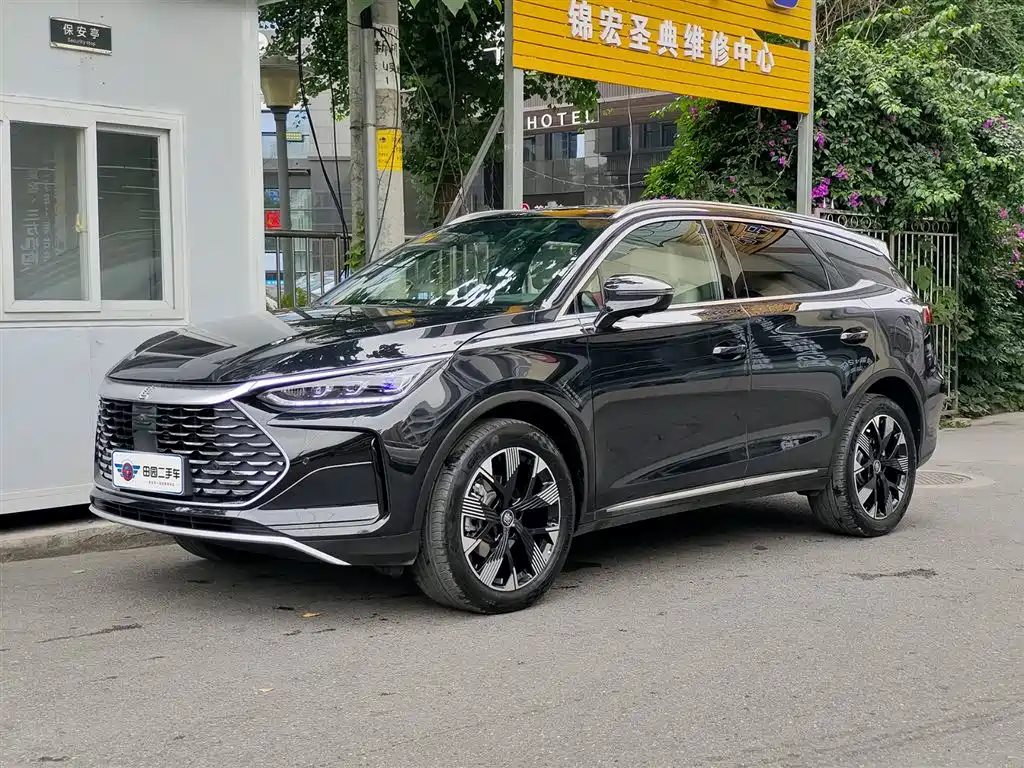 BYD Tang New Energy 2024