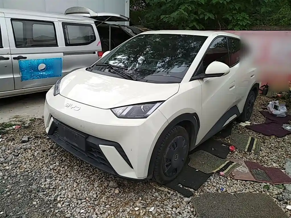 BYD Seagull 2024
