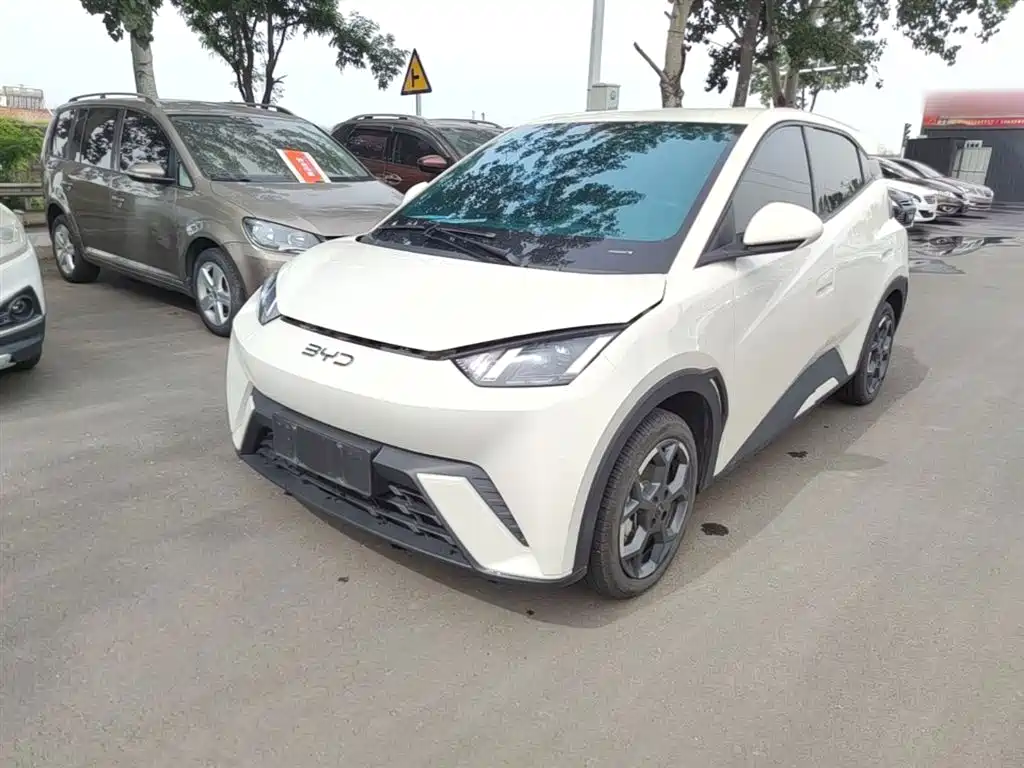BYD Seagull 2024