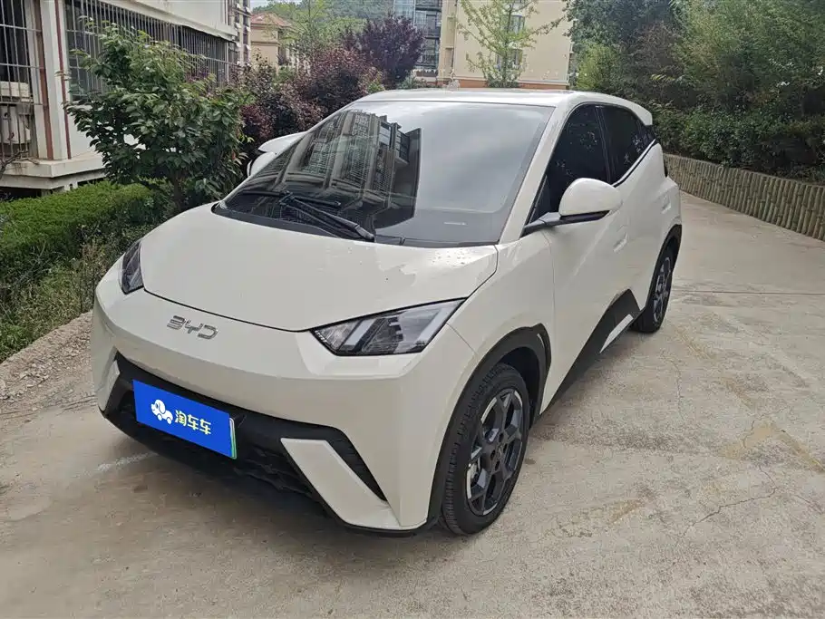 BYD Seagull 2025