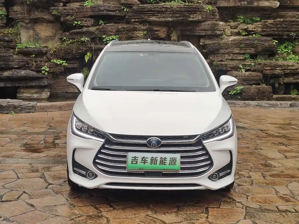 BYD MAX New Energy 2020