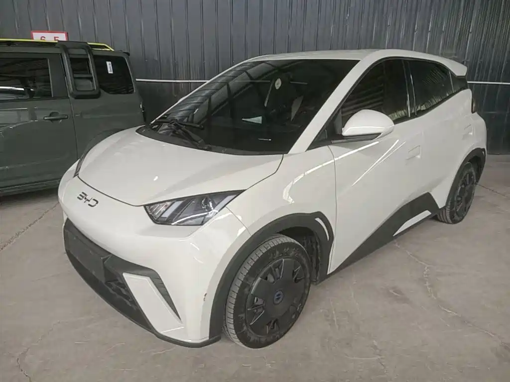 BYD Seagull 2024