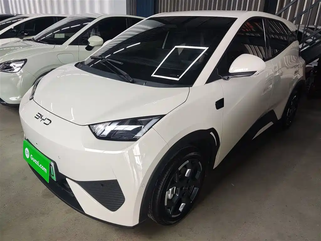 BYD Seagull 2025