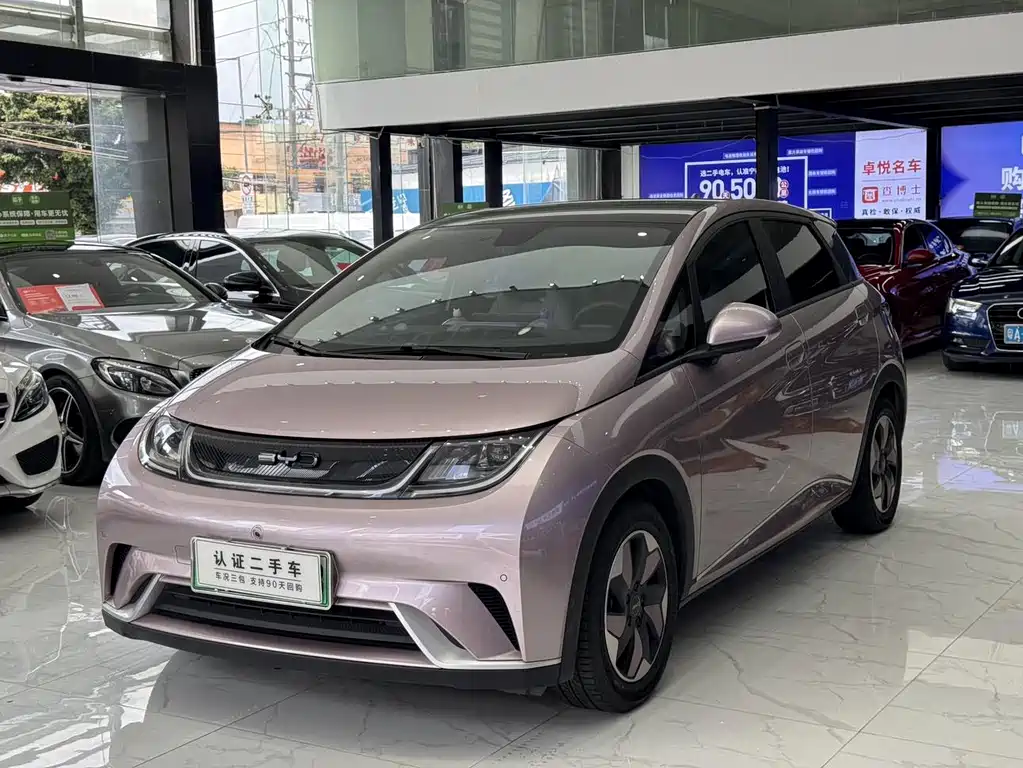 BYD Dolphin 2024