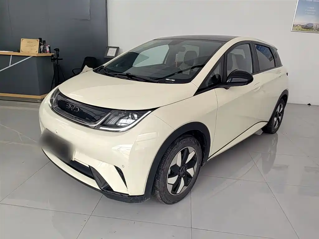 BYD Dolphin 2024