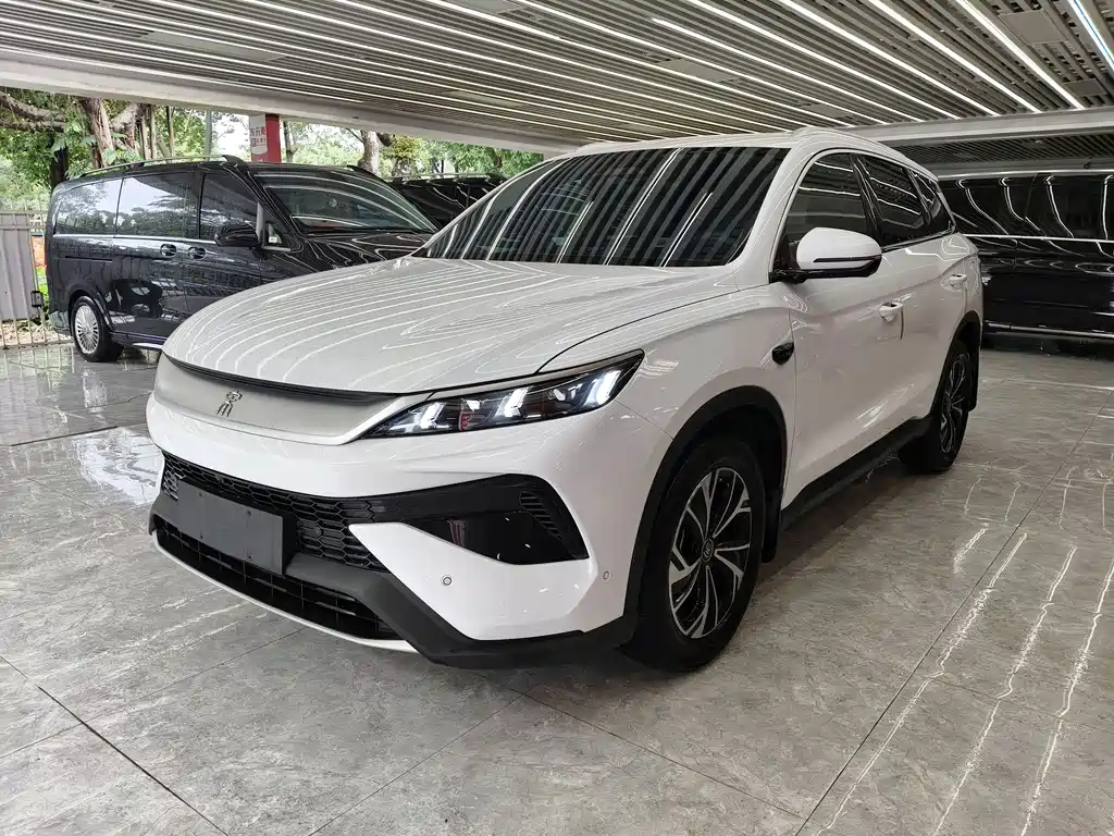 BYD Pro New Energy 2025
