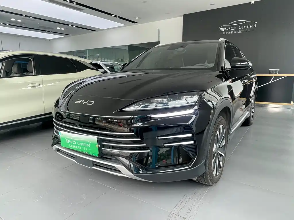 BYD PLUS New Energy 2025