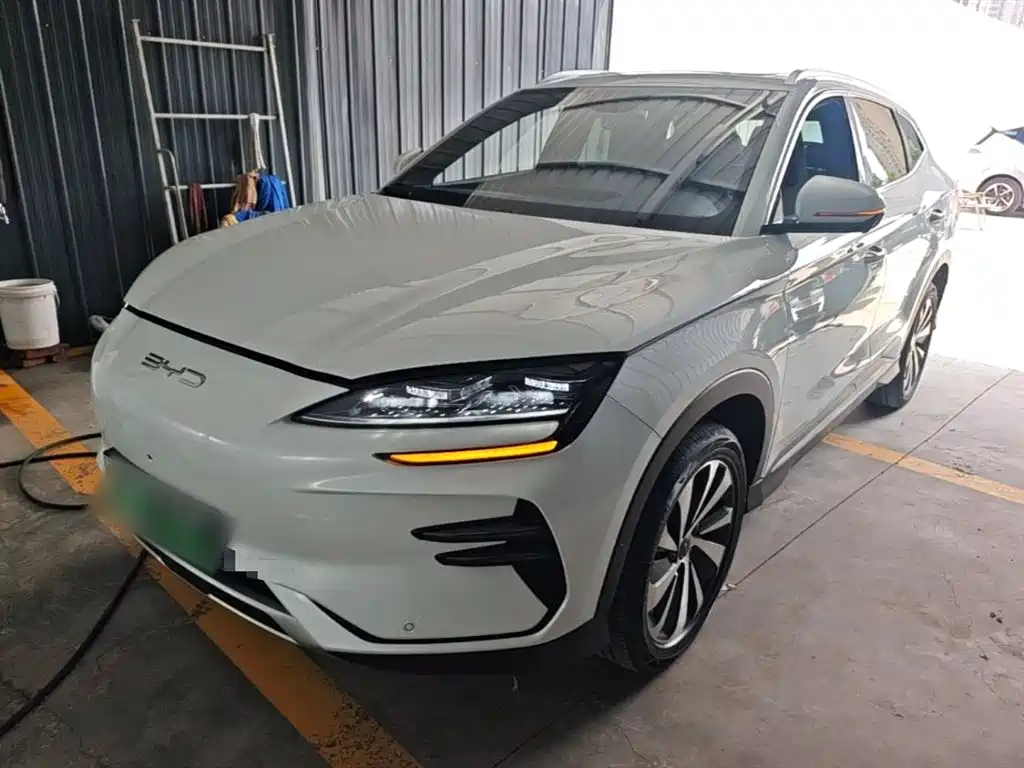 BYD PLUS New Energy 2024