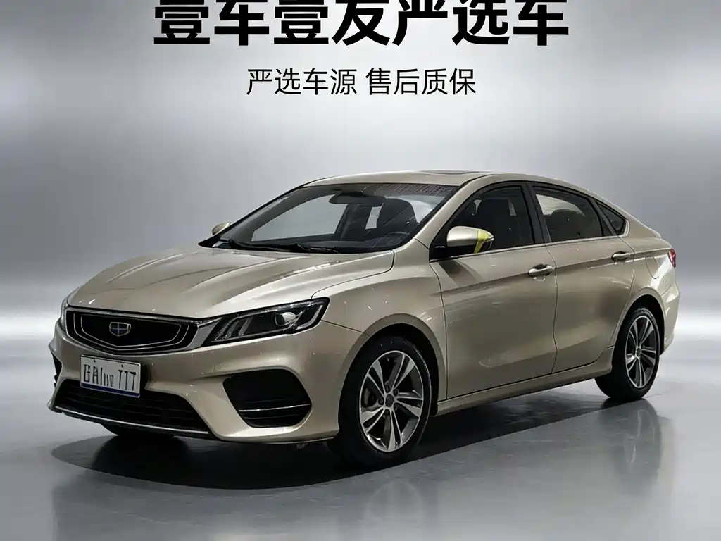 Geely Binrui 2019