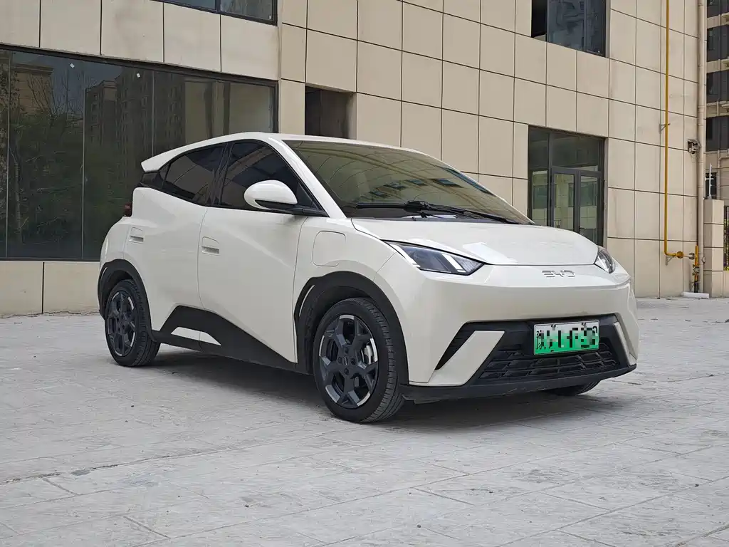 BYD Seagull 2024