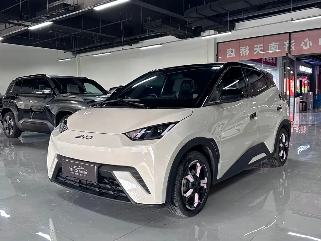 BYD Seagull 2024
